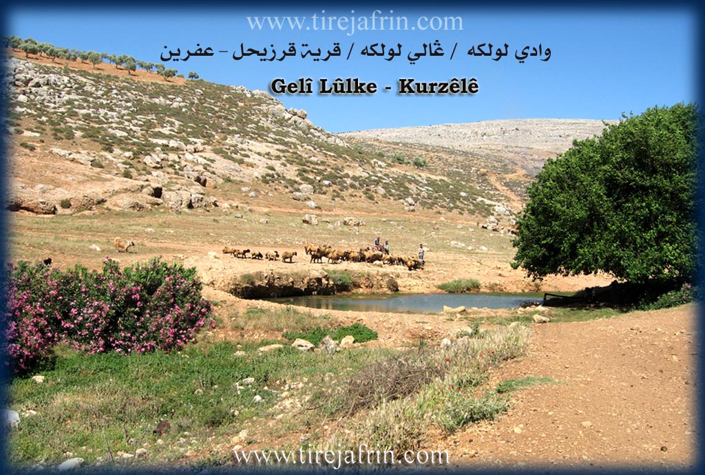 Photo of Kurzêlê